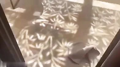 Tami scopata all'aperto sulla terrazza