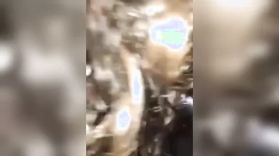 Chiara: Tutto da Gustare in Bocca