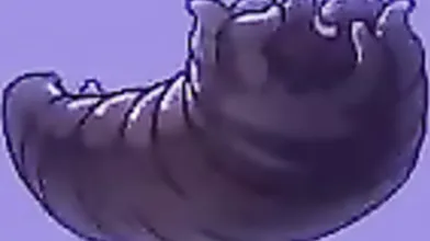 Shelena film hard completo Parasited The Thing parte 4