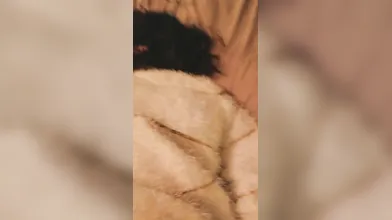 Farsi Mia Cognata: Storie di Passione Vietata