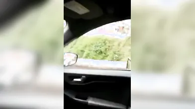 La mia gioia mi fa una spompina incredibile al cazzo