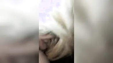 Regalagli un'altra succhiata e poi ti eccitiamo sul serio