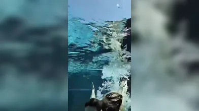 Asia Gianese irresistibile e seducente durante la sua vacanza